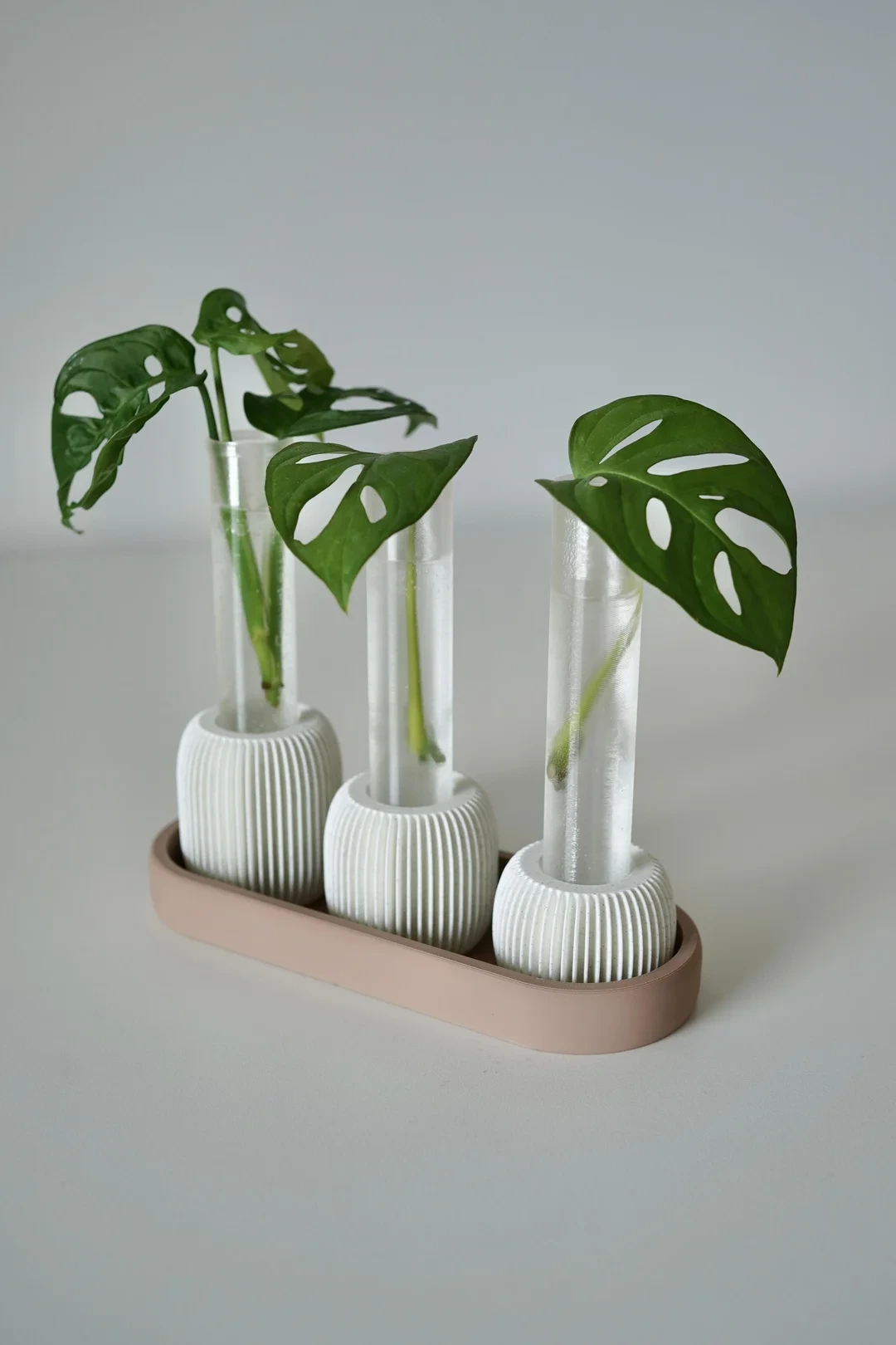 Propagia vase til stiklinger