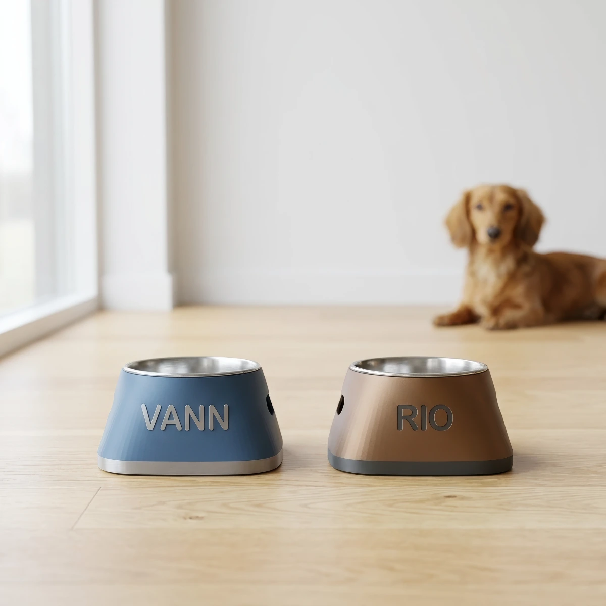 2 Matro-skåler med en hund i bakgrunnen