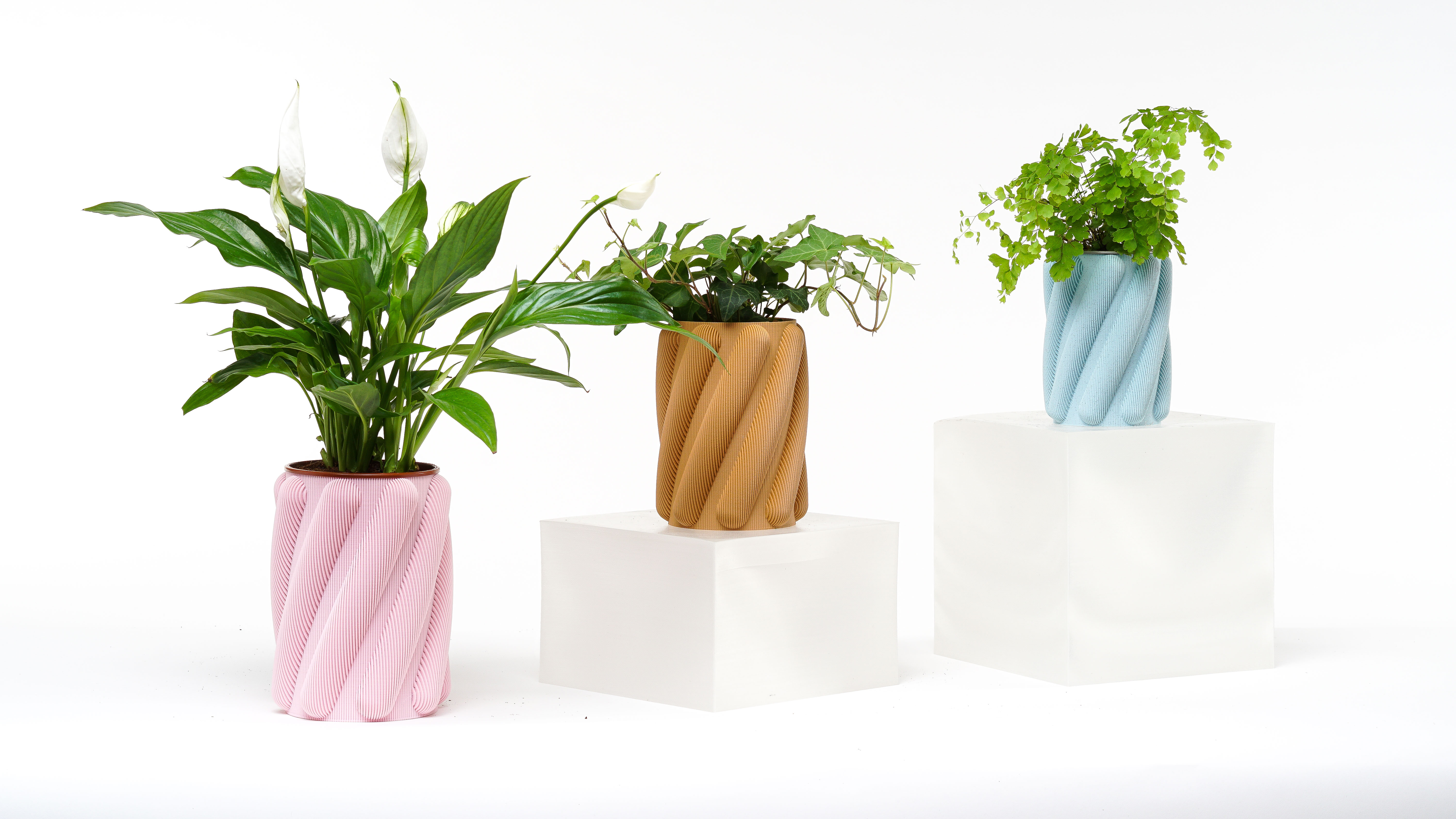 Tre vaser med planter